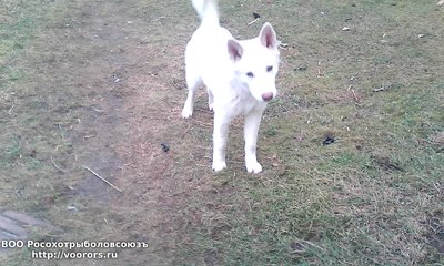IMG_20151225_105331.jpg