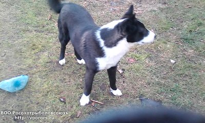 IMG_20151225_131536.jpg