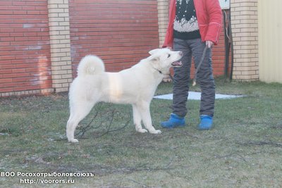 IMG_2434.JPG