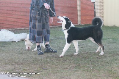 IMG_2453.JPG