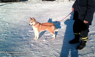 Зенка.jpg