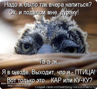 lд.jpg
