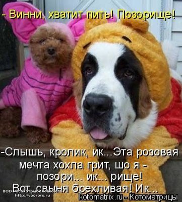 в.jpg