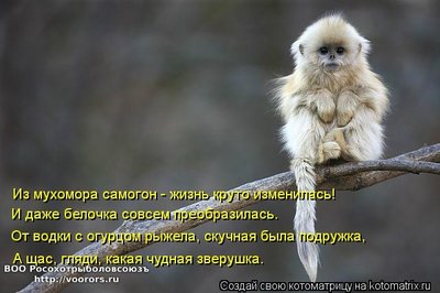 з.jpg