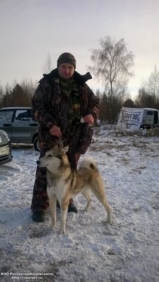 WP_20160103_12_33_06_Pro.jpg