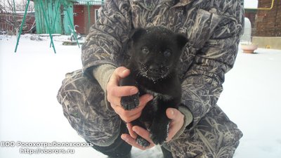 20160105_142916[1].jpg