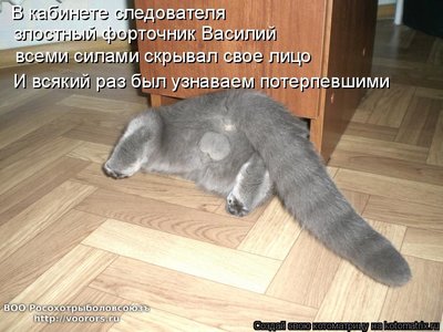 в.jpg