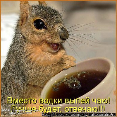 чай.jpg