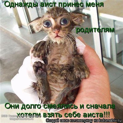 а.jpg