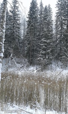новая папка 079.jpg