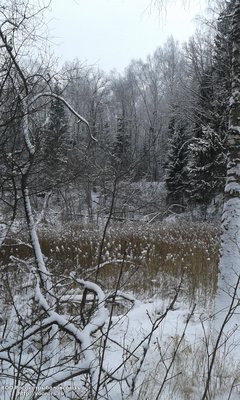 новая папка 081.jpg