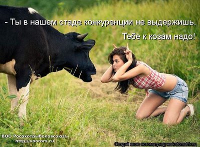 к.jpg