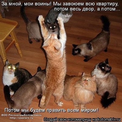 в.jpg