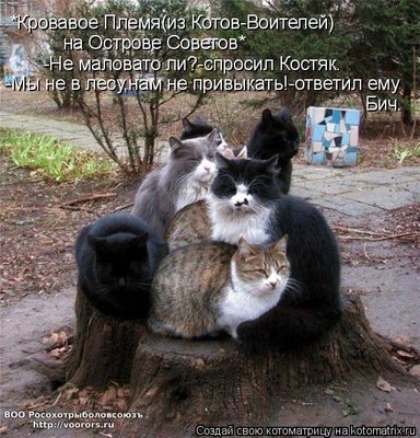 в.jpg