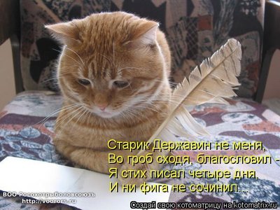 стих.jpg