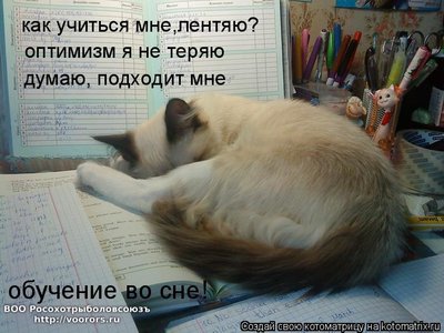 сон3.jpg