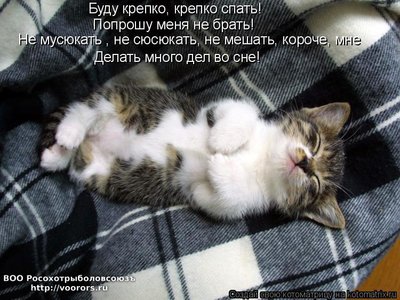 сон.jpg