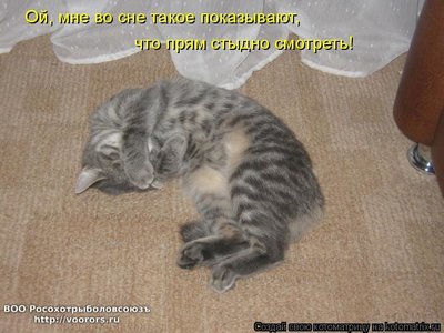 сон1.jpg