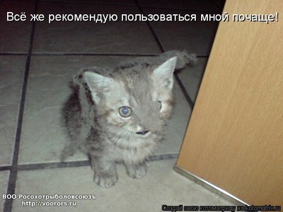 вяз1.jpg