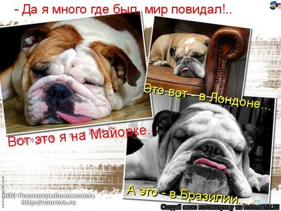 м.jpg
