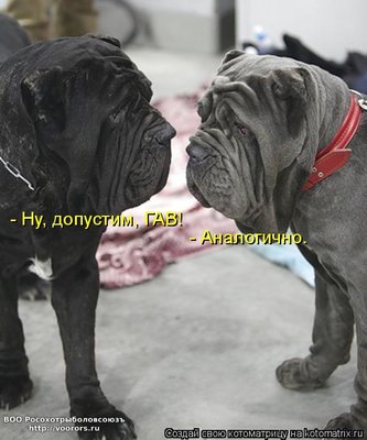 f.jpg