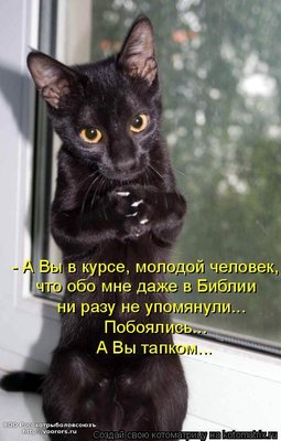 n.jpg