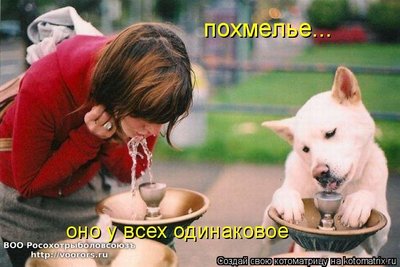 g.jpg