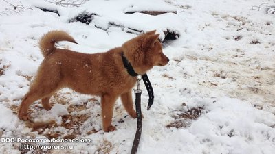 IMG_0229.JPG