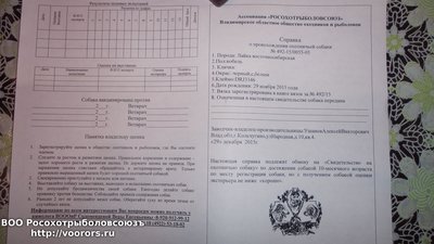 20160105_143432.jpg