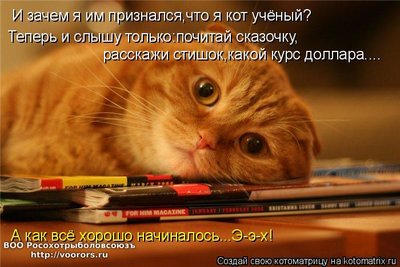 u.jpg