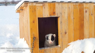 20160123_165946.jpg