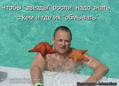 p.jpg