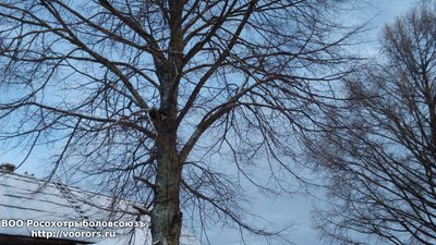 DSC_0005.JPG