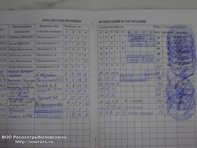 Дипломы Шилы.jpg