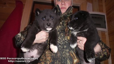 20160202_010918.jpg