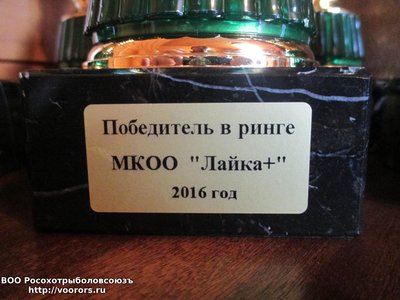 4 поб ринг.jpg