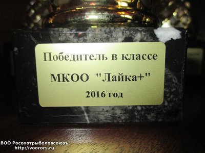 6 поб кл.jpg