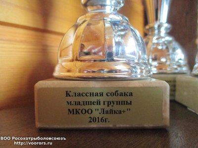 1 мл гр.jpg