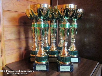 5 поб ринг.jpg