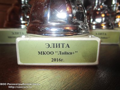 12 элита.jpg