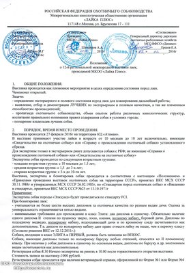 CCI02022016.jpg