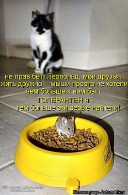 ktj.jpg