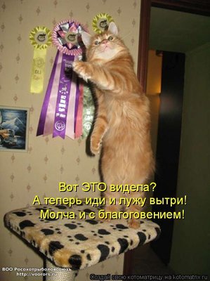 kotomatritsa_Xh.jpg