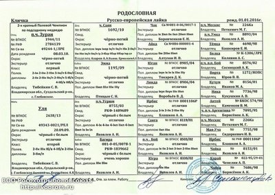 Зуран+Уля 010116 скан.jpg