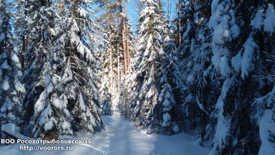DSC_0011.JPG