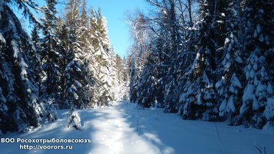 DSC_0012.JPG