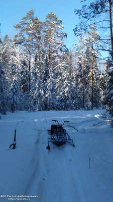 DSC_0016.JPG
