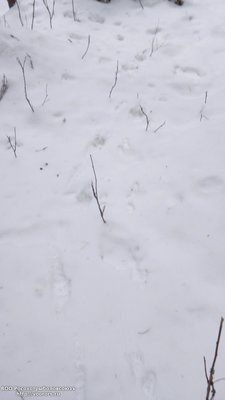 DSC_0003.JPG
