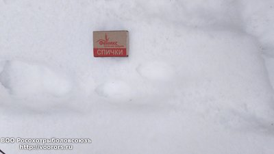 DSC_0006.JPG