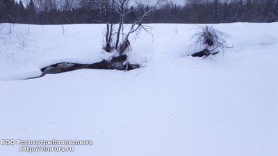 DSC_0005.JPG